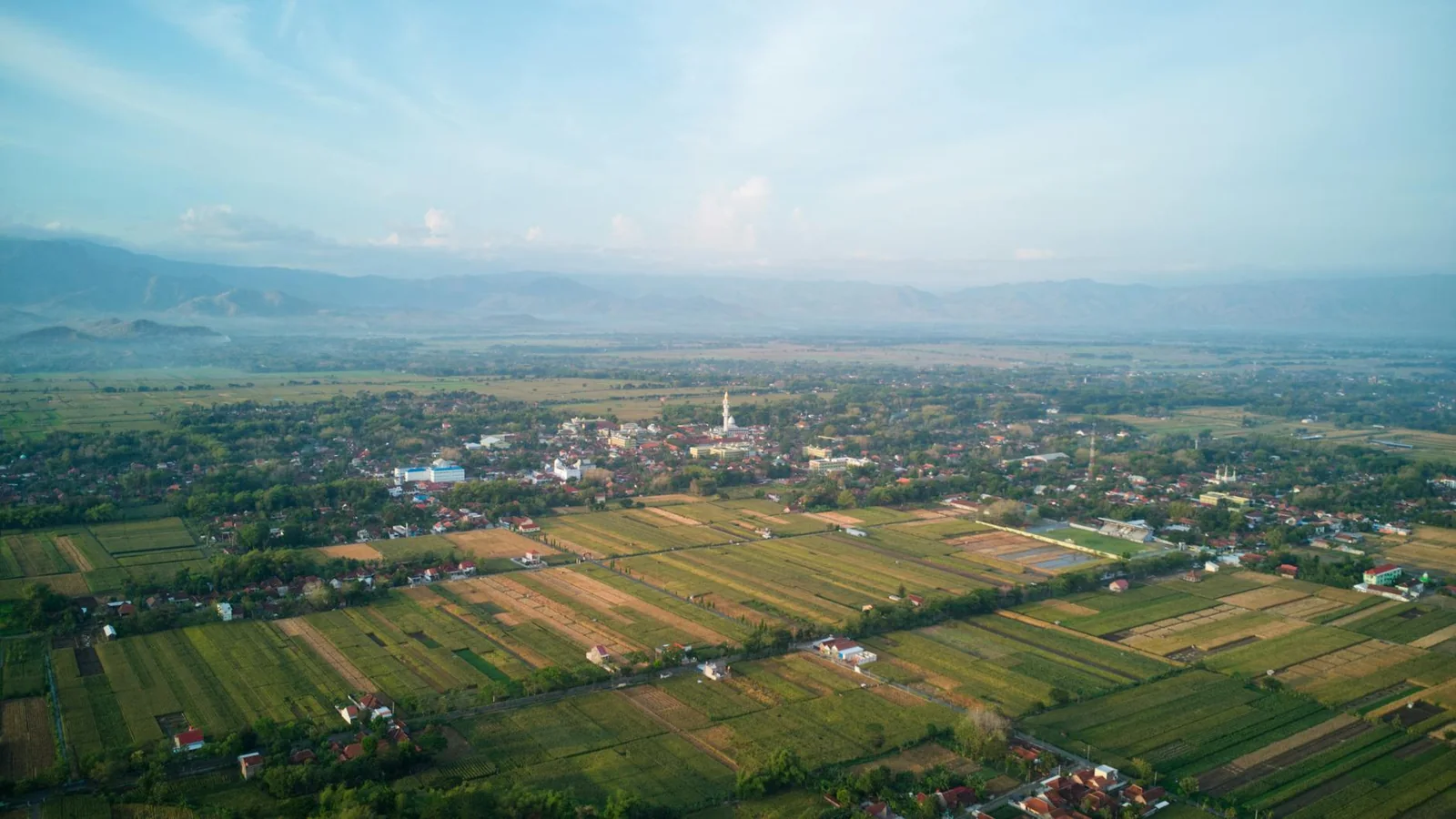 免费吃瓜当季果蔬供应批次场景